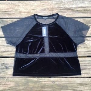 NWT Express Velvet Sheer Crop Top